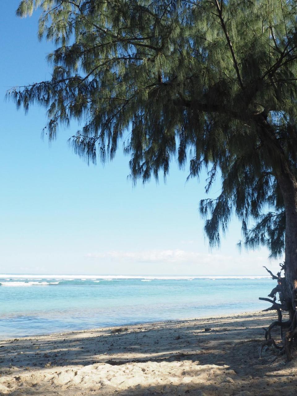 Escale Tropicale, Appart Vue Mer A 2 Min Du Lagon Apartman Saint-Gilles-les Bains Kültér fotó